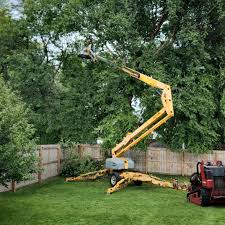 Best Tree Disease Treatment  in Cleveland, WI